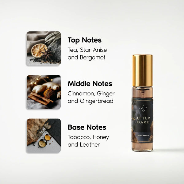 Lauren Simon Collections Discovery Set