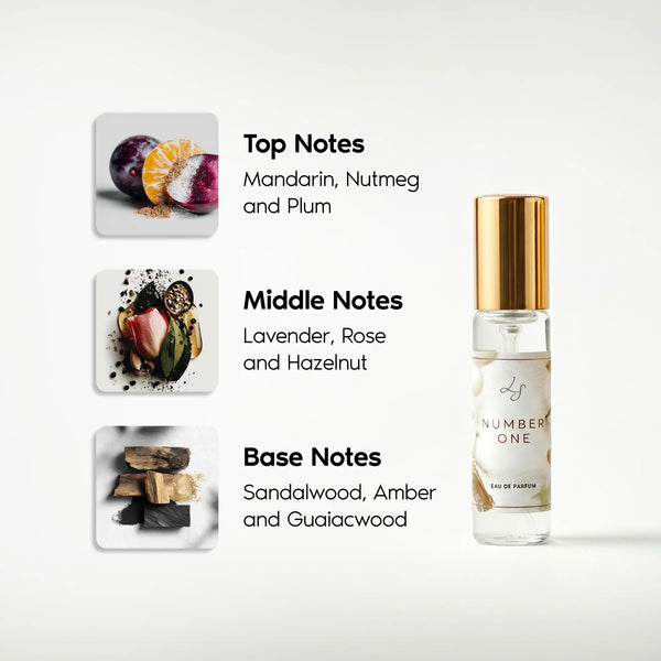 Lauren Simon Collections Discovery Set